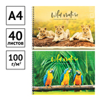 Альбом для рисования 40л., А4, на гребне ArtSpace "Животные. Wild world card"